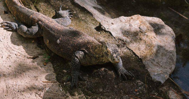 Pexels/Mikhail Nilov